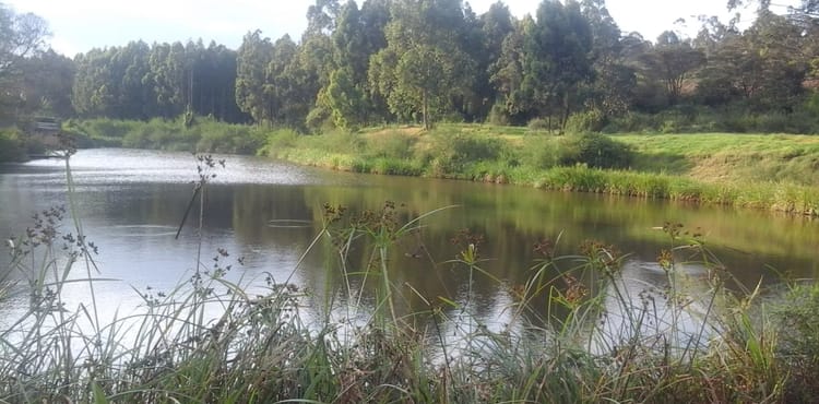 Government blocks Ngong Road Forest development