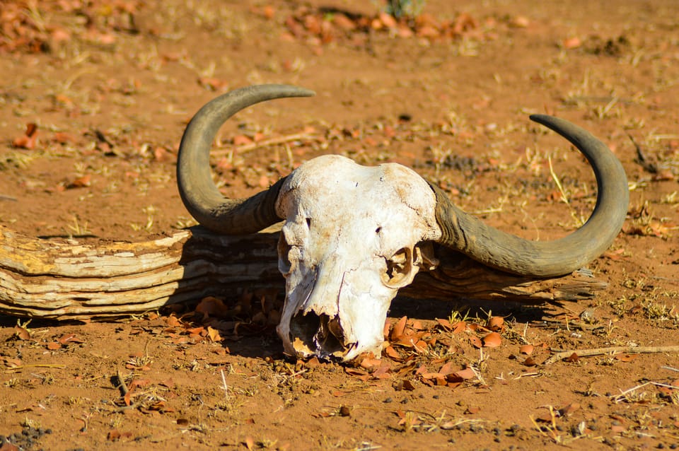 Kenya's Food Crisis: 2.8 Million Face Acute Hunger as Drought Worsens